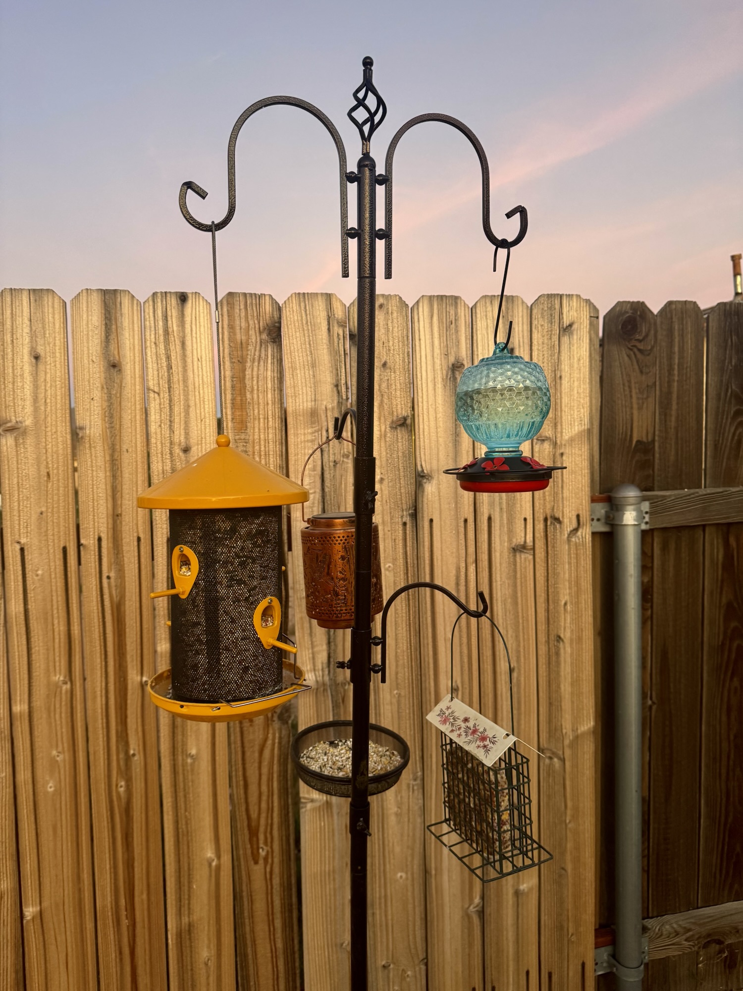 Creating a Backyard Bird Feeding Station: How We Set Up Our Yard for Birds and Family Fun