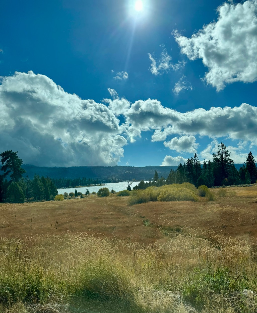 Welcome to My Little Corner of Life